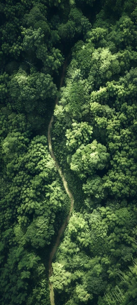 serene fusion wallpaper — nature, scenery, forest, tree (free 4K phone download)