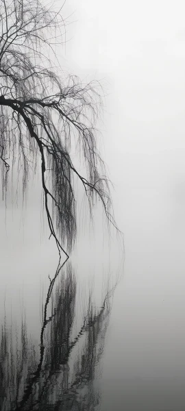 serene fusion wallpaper — monochrome, greyscale, tree, bare tree (free 4K phone download)