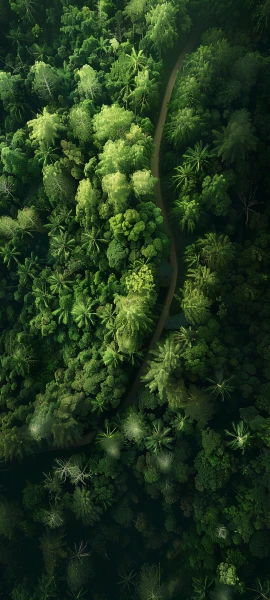fusion art wallpapers — 1847×4096