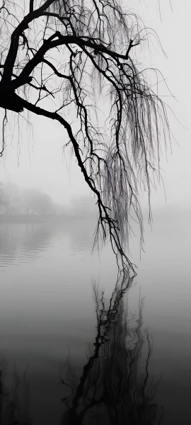 serene fusion wallpaper — monochrome, greyscale, tree, bare tree (free 4K phone download)