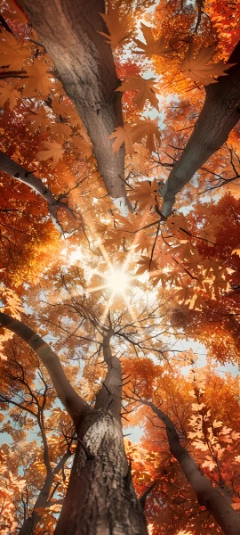 nature wallpapers — 1847×4096