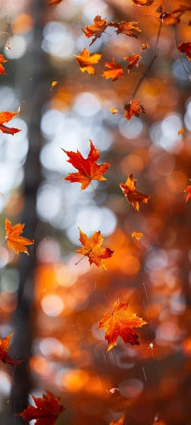 nature wallpapers — 1847×4096
