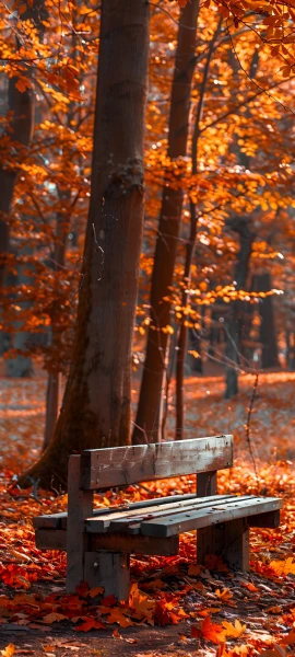 nature wallpapers — 1847×4096
