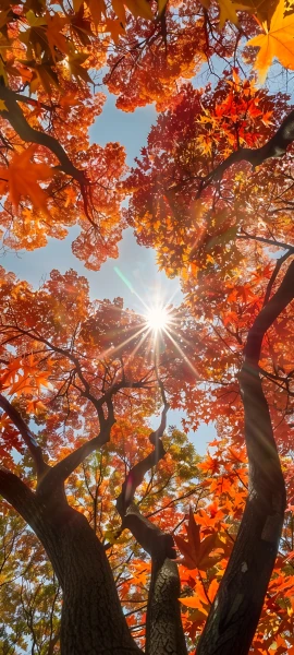 nature wallpapers — 1847×4096