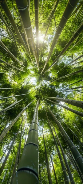 nature wallpapers — 1847×4096