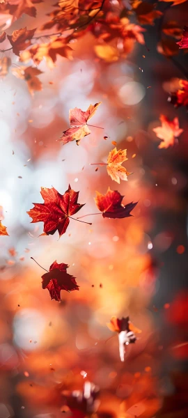 serene nature wallpaper — autumn leaves, leaf, maple leaf, autumn (free 4K phone download)