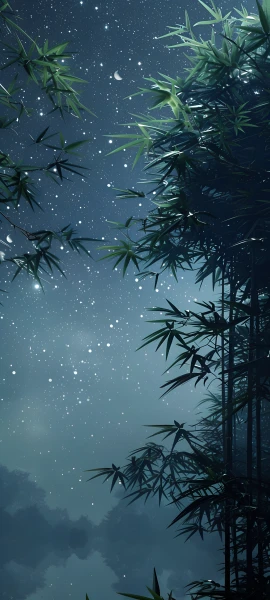 dreamy nature wallpaper — sky, bamboo, star (sky), night (free 4K phone download)