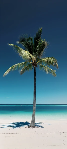 serene nature wallpaper — palm tree, tree, beach, sky (free 4K phone download)