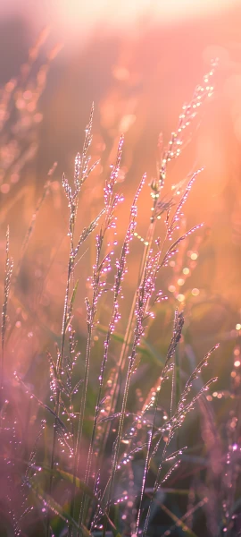 nature wallpapers — 1847×4096