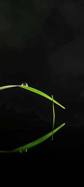 nature wallpapers — 1847×4096