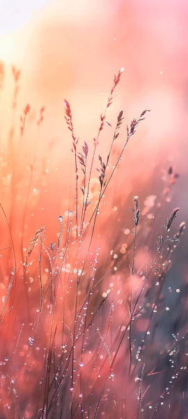 dreamy nature wallpaper — scenery, tree, water drop, sky (free 4K phone download)