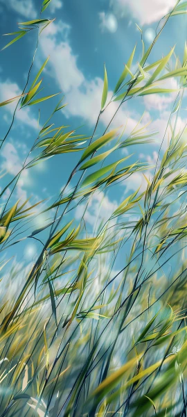 nature wallpapers — 1847×4096
