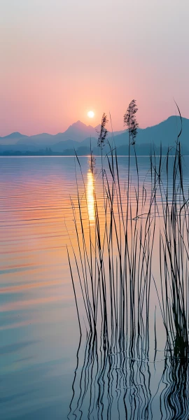 serene nature wallpaper — scenery, sky, sun, sunset (free 4K phone download)