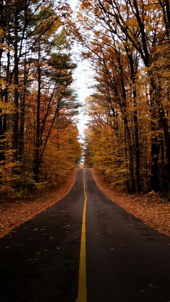 nature wallpapers — 1906×3391