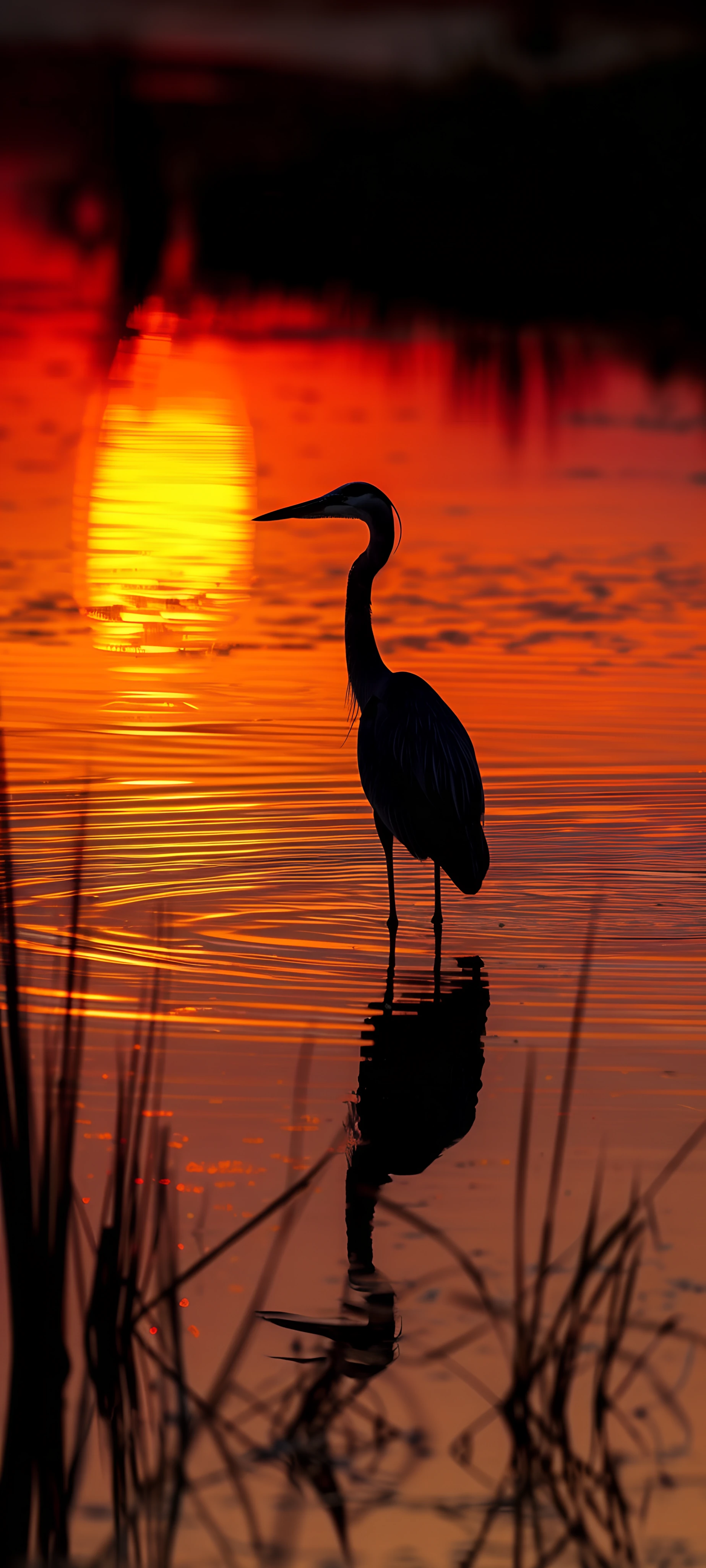 Nature Wallpapers 1847×4096 anime wallpaper