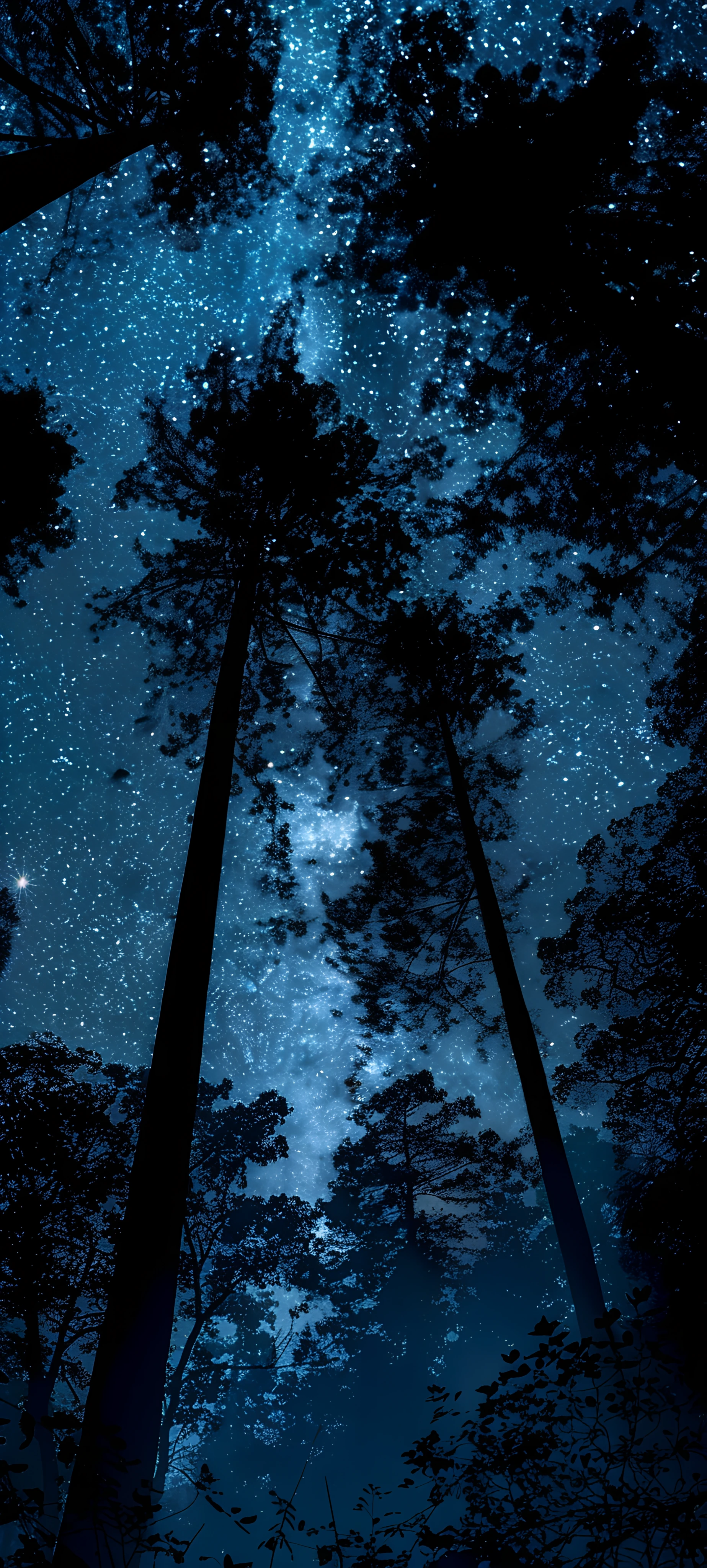 Nature Wallpapers 1847×4096 anime wallpaper
