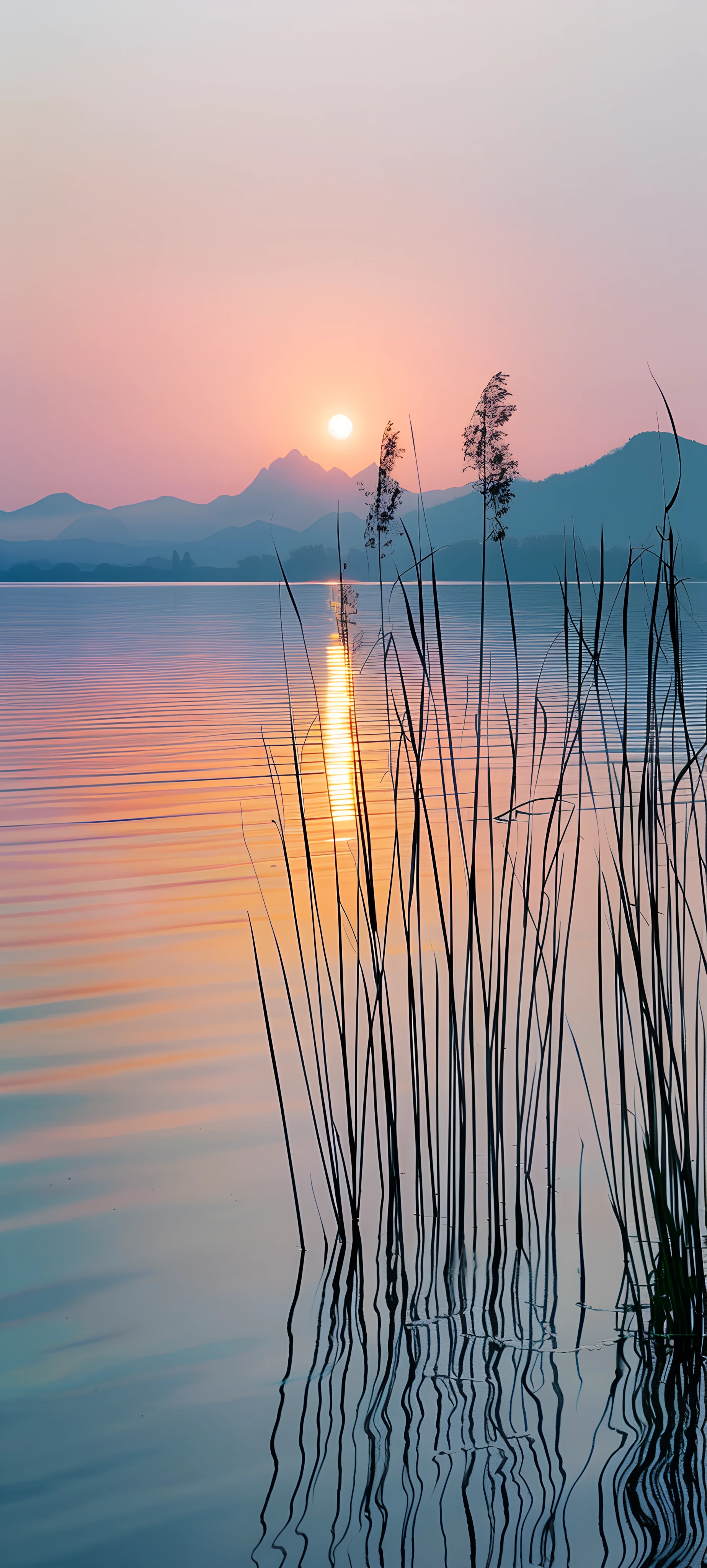 Nature Wallpapers 1847×4096 anime wallpaper