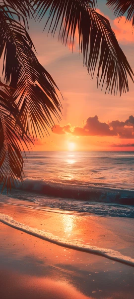 serene seasons wallpaper — beach, tree, sunset, scenery (free 4K phone download)
