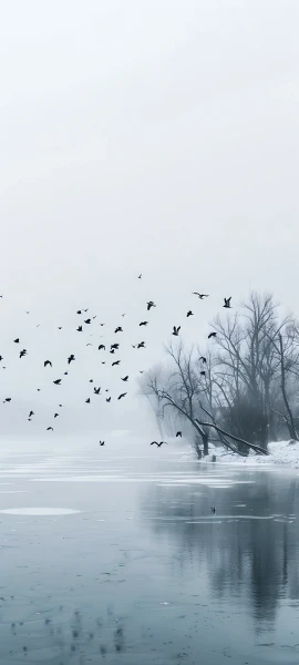 seasons wallpapers — 1847×4096