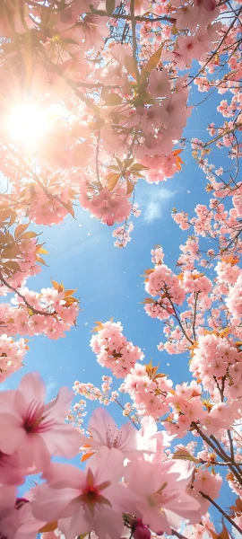 seasons wallpapers — 1847×4096