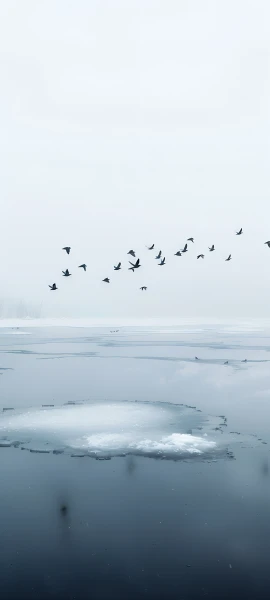 seasons wallpapers — 1847×4096