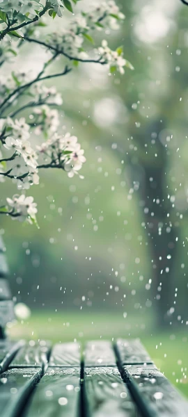 seasons wallpapers — 1847×4096