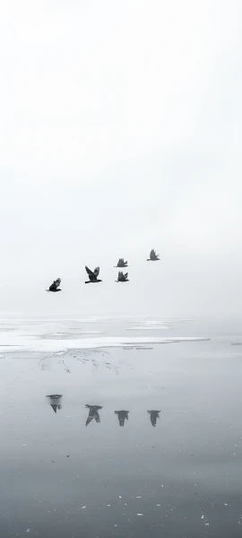 seasons wallpapers — 1847×4096