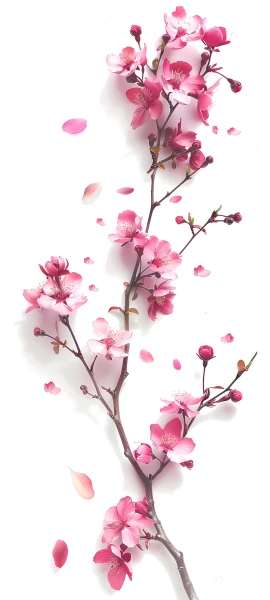 seasons wallpapers — 1847×4096