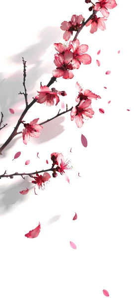seasons wallpapers — 1847×4096