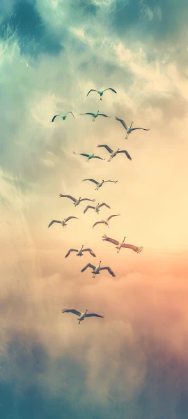 seasons wallpapers — 1847×4096