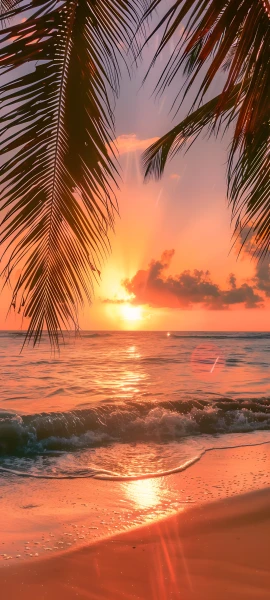 serene seasons wallpaper — beach, sunset, ocean, scenery (free 4K phone download)