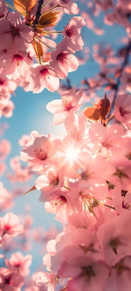 seasons wallpapers — 1847×4096