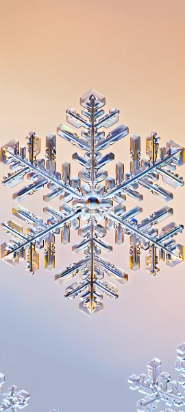 seasons wallpapers — 1847×4096