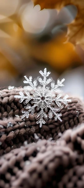 seasons wallpapers — 1847×4096
