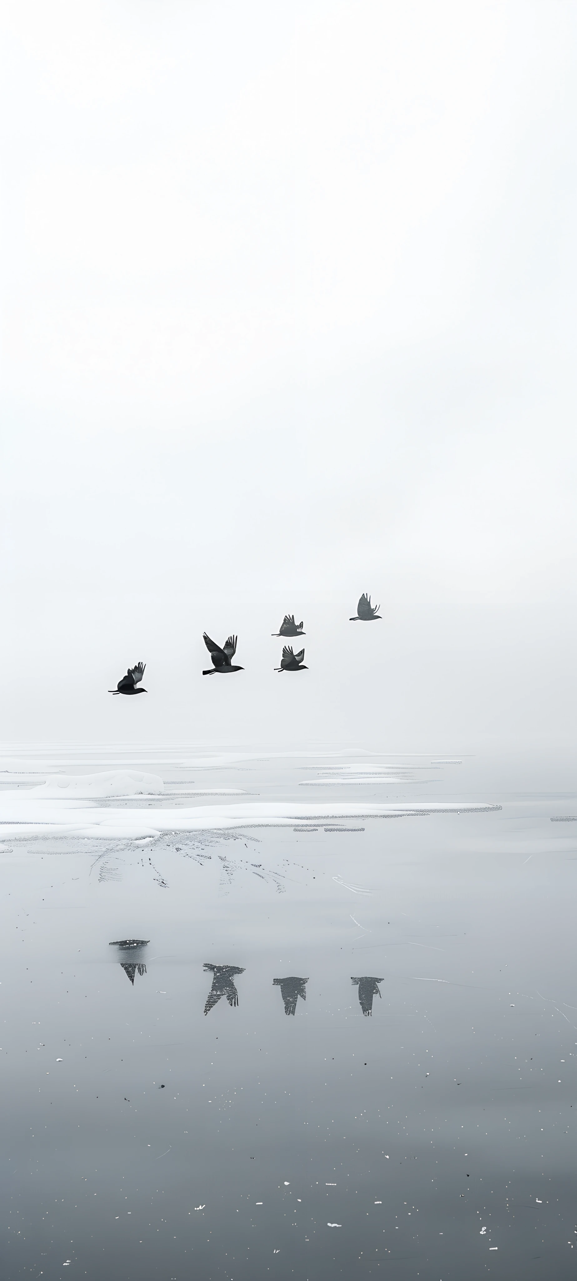 serene seasons wallpaper — boat, monochrome, reflection, watercraft (free 4K phone download)