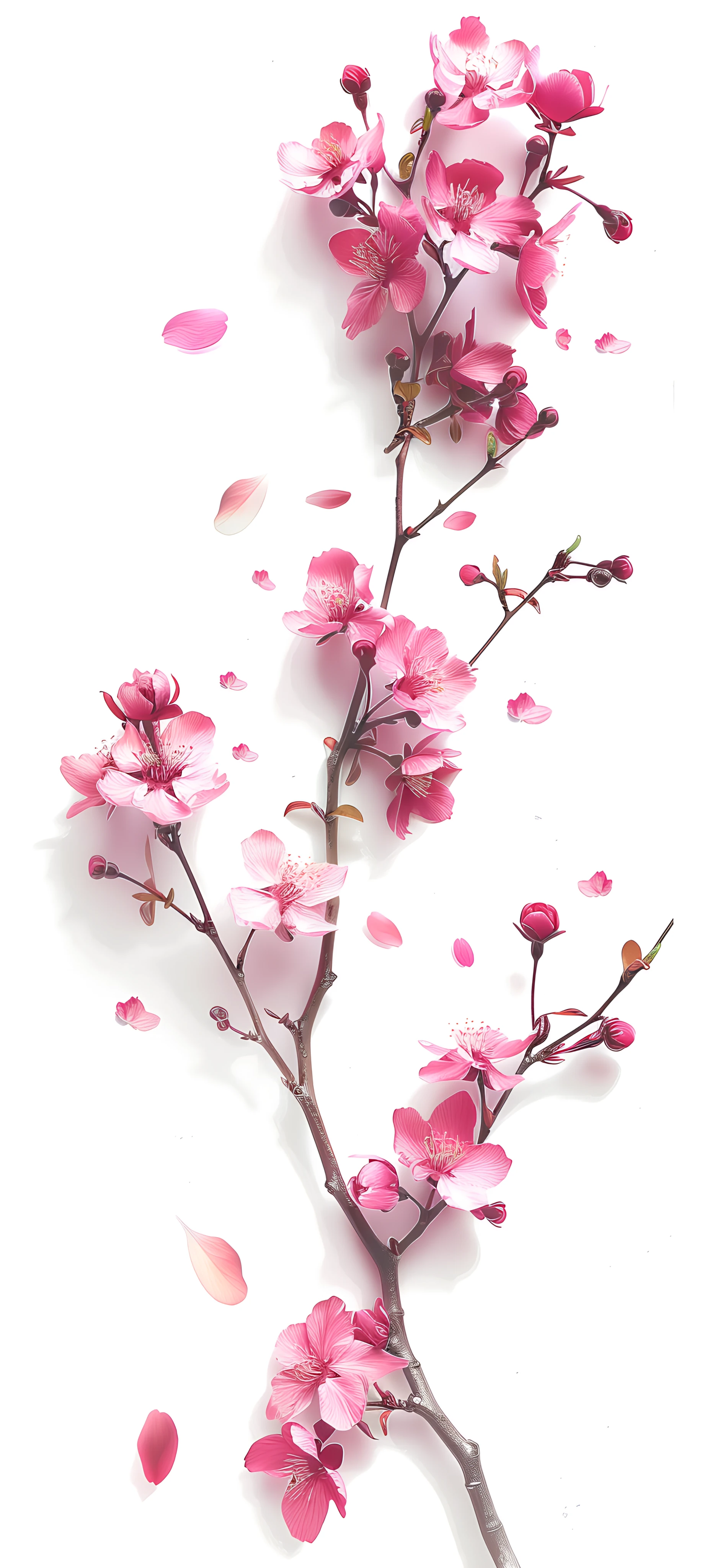 Seasons Wallpapers 1847×4096 anime wallpaper